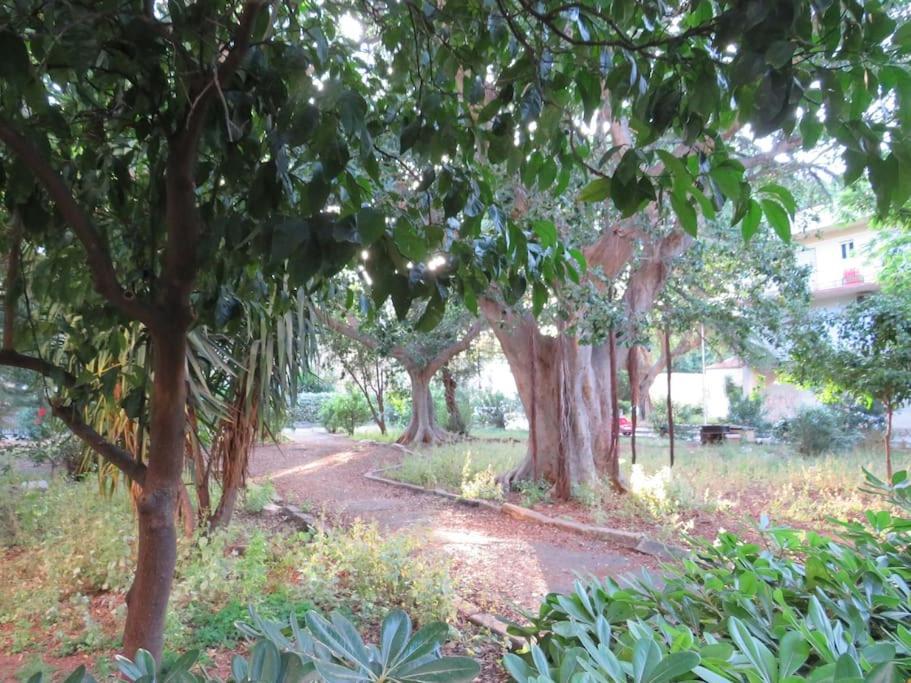Relax Nel Verde- Giodapi Palm باليرمو المظهر الخارجي الصورة